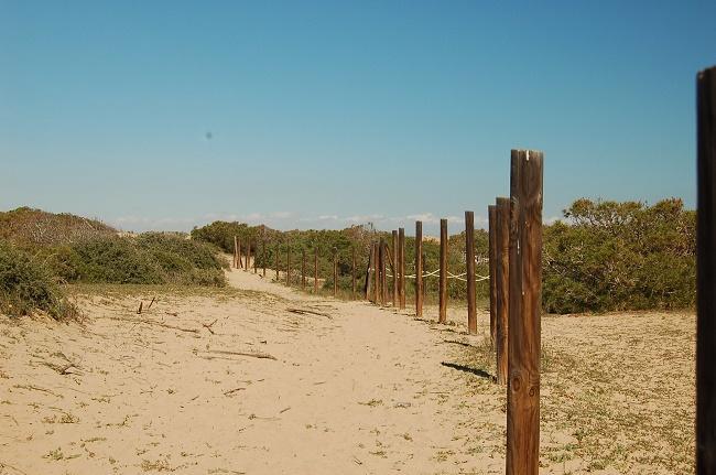 Apartamento Pinada Beach- La Mata La Mata  Zewnętrze zdjęcie